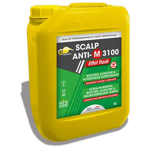 Antimousse Scalp Anti-M 3100