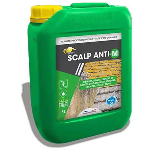 Antimousse Scalp Anti-M
