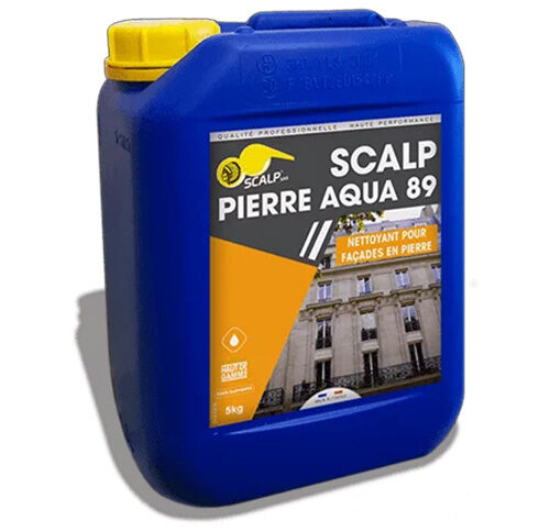 Nettoyant Scalp Pierre aqua 89