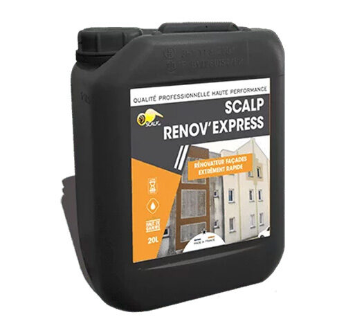 Nettoyant Scalp Renov Express