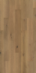 6 - Regular Ambre Authentique 01 ref 61000969