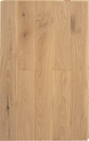 Vitesse 15 ABCD Invisible