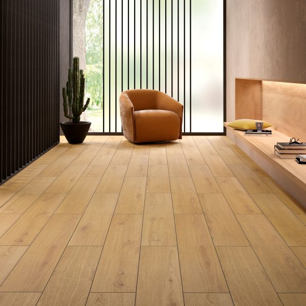 AMB_COULOIR_903_CHENE_JARNAC_v2