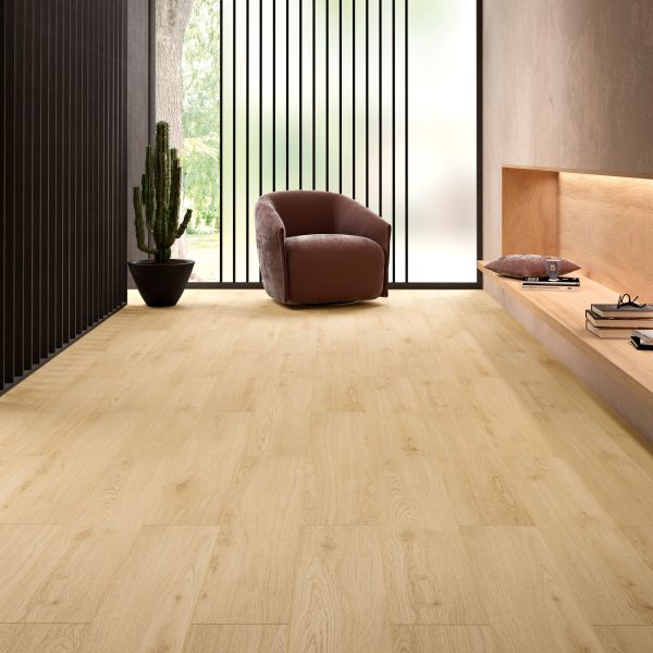 AMB_COULOIR_907_CHENE_TUNIS_v2