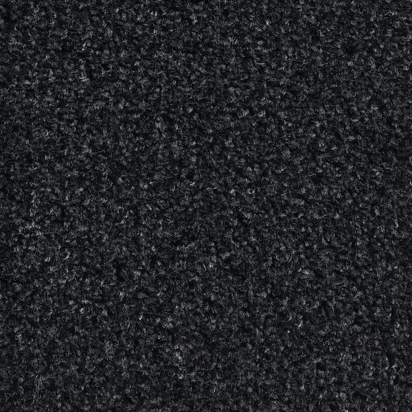 Orion Noir 50
